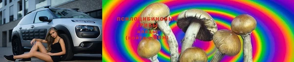 индика Тольятти