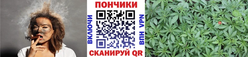 МАРИХУАНА SATIVA & INDICA  наркошоп  Копейск 